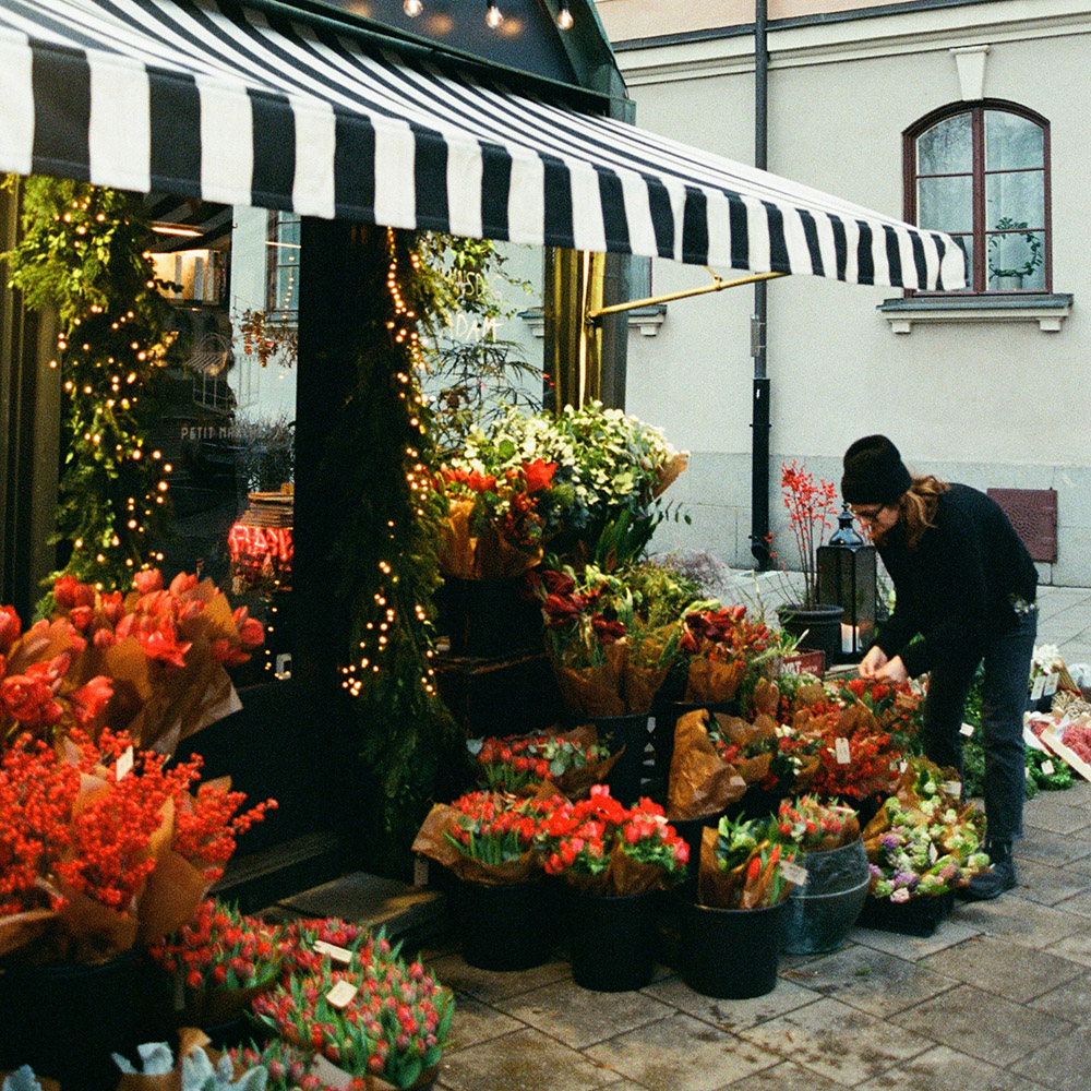 Bouquet of Flowers